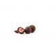 Choco fruits Cele jagode v temni čokoladi