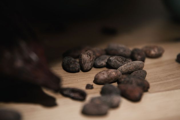 Darilni bon: Čokoladna delavnica z degustacijo "Bean to bar"