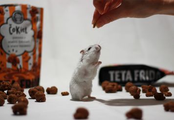 Znani so nagrajenci čokoladne nagradne igre TETA FRIDA x HOFER