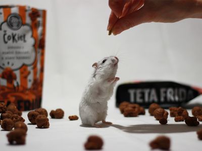Znani so nagrajenci čokoladne nagradne igre TETA FRIDA x HOFER
